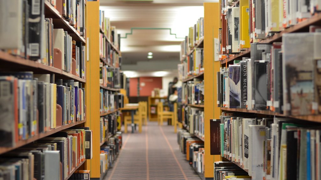 本棚がずらりと並ぶ図書館の通路