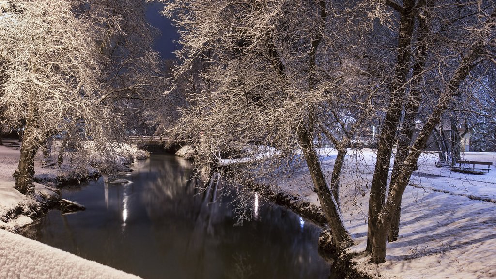 雪の積もった夜の川べり